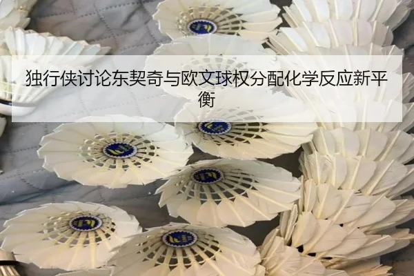 独行侠讨论东契奇与欧文球权分配化学反应新平衡